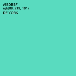 #58DBBF - De York Color Image