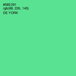 #58E291 - De York Color Image