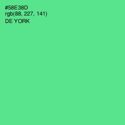 #58E38D - De York Color Image