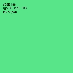 #58E488 - De York Color Image