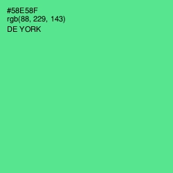 #58E58F - De York Color Image