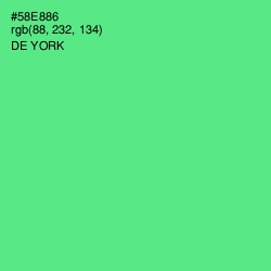 #58E886 - De York Color Image