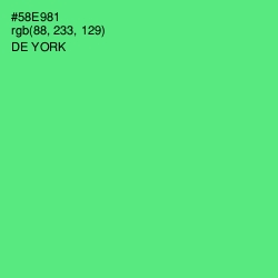 #58E981 - De York Color Image