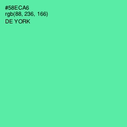 #58ECA6 - De York Color Image