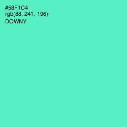 #58F1C4 - Downy Color Image