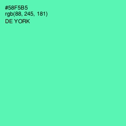 #58F5B5 - De York Color Image