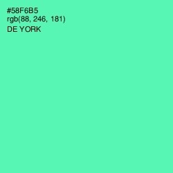 #58F6B5 - De York Color Image