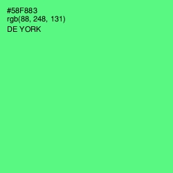 #58F883 - De York Color Image