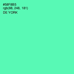 #58F8B5 - De York Color Image