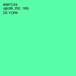 #58FCA9 - De York Color Image