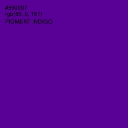 #590097 - Pigment Indigo Color Image