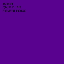#59028F - Pigment Indigo Color Image