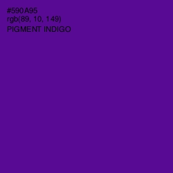 #590A95 - Pigment Indigo Color Image