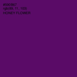 #590B67 - Honey Flower Color Image