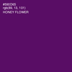 #590D65 - Honey Flower Color Image