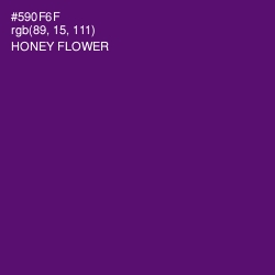 #590F6F - Honey Flower Color Image