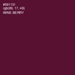 #591131 - Wine Berry Color Image