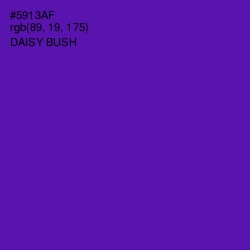 #5913AF - Daisy Bush Color Image