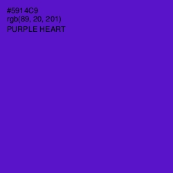#5914C9 - Purple Heart Color Image