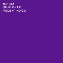 #59168D - Pigment Indigo Color Image