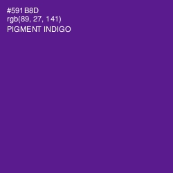 #591B8D - Pigment Indigo Color Image
