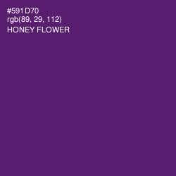 #591D70 - Honey Flower Color Image