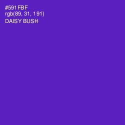 #591FBF - Daisy Bush Color Image