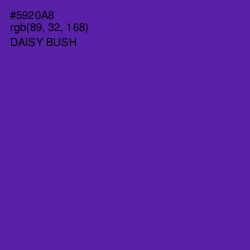 #5920A8 - Daisy Bush Color Image