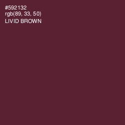 #592132 - Livid Brown Color Image