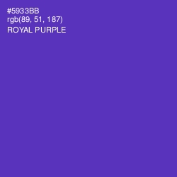 #5933BB - Royal Purple Color Image