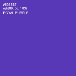 #5938B7 - Royal Purple Color Image