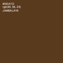 #593A1D - Jambalaya Color Image