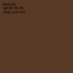 #593A26 - Irish Coffee Color Image