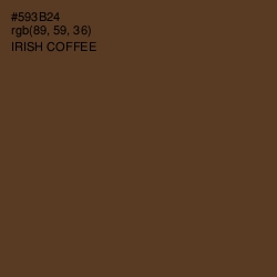 #593B24 - Irish Coffee Color Image