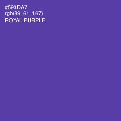 #593DA7 - Royal Purple Color Image