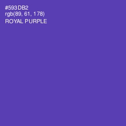 #593DB2 - Royal Purple Color Image