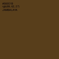 #593E1B - Jambalaya Color Image