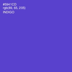 #5941CD - Indigo Color Image