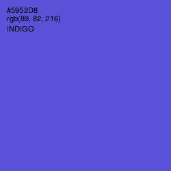 #5952D8 - Indigo Color Image