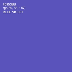 #5953BB - Blue Violet Color Image