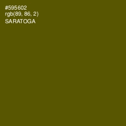 #595602 - Saratoga Color Image