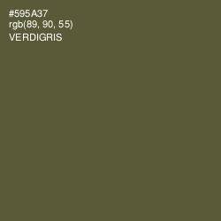 #595A37 - Verdigris Color Image