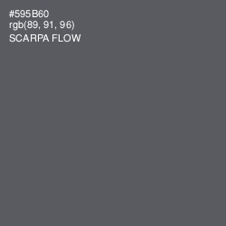 #595B60 - Scarpa Flow Color Image