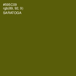 #595C09 - Saratoga Color Image