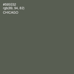 #595E52 - Chicago Color Image