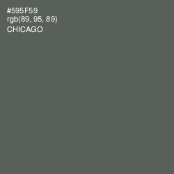 #595F59 - Chicago Color Image