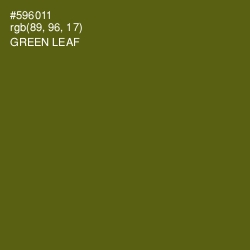 #596011 - Green Leaf Color Image