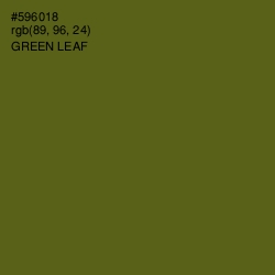 #596018 - Green Leaf Color Image