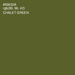 #59602A - Chalet Green Color Image