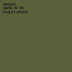 #59603A - Chalet Green Color Image